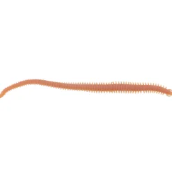 Berkley Gulp Alive Néréïs – Seeringelwurm 15cm