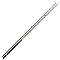 Black Cat Perfect Passion XH-S 2,40m 600g Allround  Welsrute