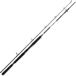 Daiwa BG Offshore Boat 2,40m 150-400g Bootsrute