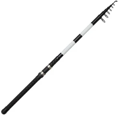 DAM Base-X Tele Stellfisch 19'8''/6.00M M 50-100G 8Sec