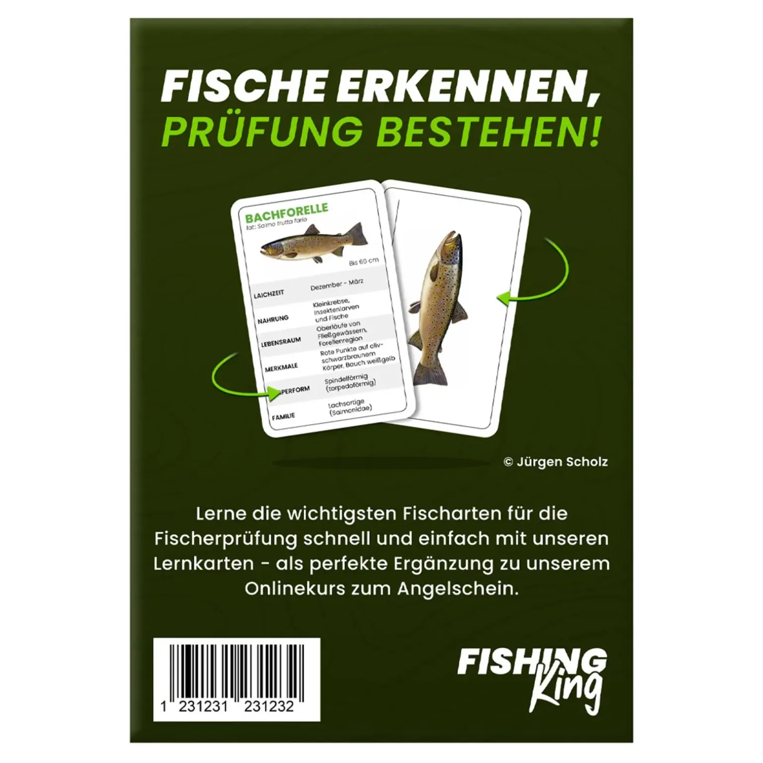 Fishing-King Fisch-Lernkarten