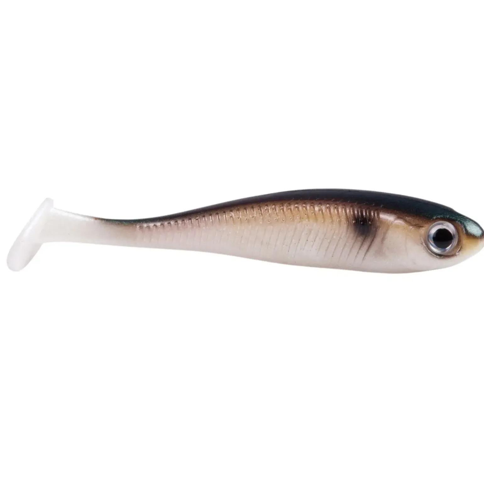Jackson Active Shad 8,0cm Green Back Gummifisch