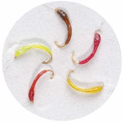 Jenzi Premium Hegene Dora Gr.14 – 5 Nymphen