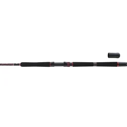 Penn Squadron III Boat 2,10m 50-150g Meeresrute