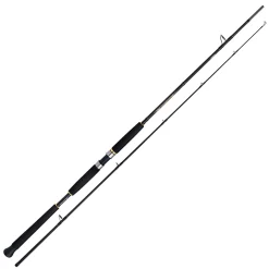Shimano Beastmaster AX Pilk 2,40m 100-200g 2pc Pilkrute