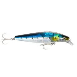 Shimano Exsence Silent Ass 99S FB 9,9cm 14g Maiwashi Wobbler