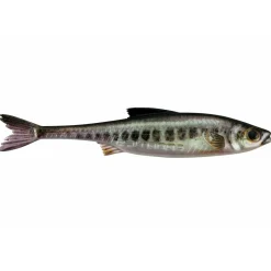 Stucki Real Rider Fish Tail 7,0cm 1,9g Vairon - 6 Pcs Gummifisch
