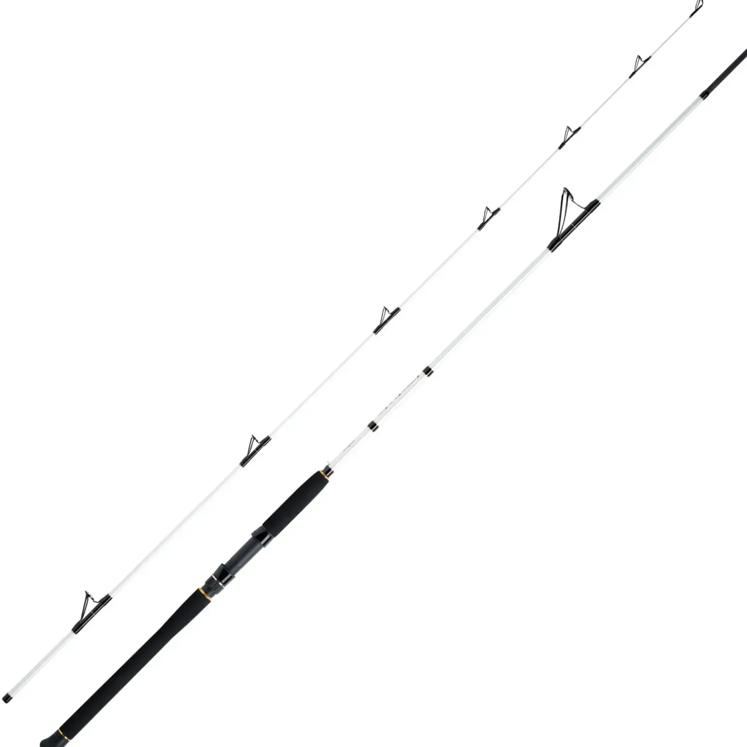 WFT Coastal Jigger Salzmeister 2,75m 40-160g Meeresrute 2-Teilig