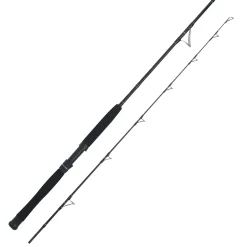 WFT Cool Sea Special Fjord 2pc. 2,10m 25lbs 30-300g Meeresrute